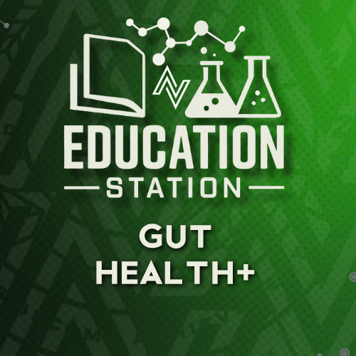 Why Owensboro Is Turning to Gut Health+ for Digestion and Daily Wellness