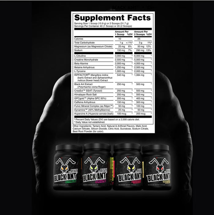Black Ant Pre-Workout