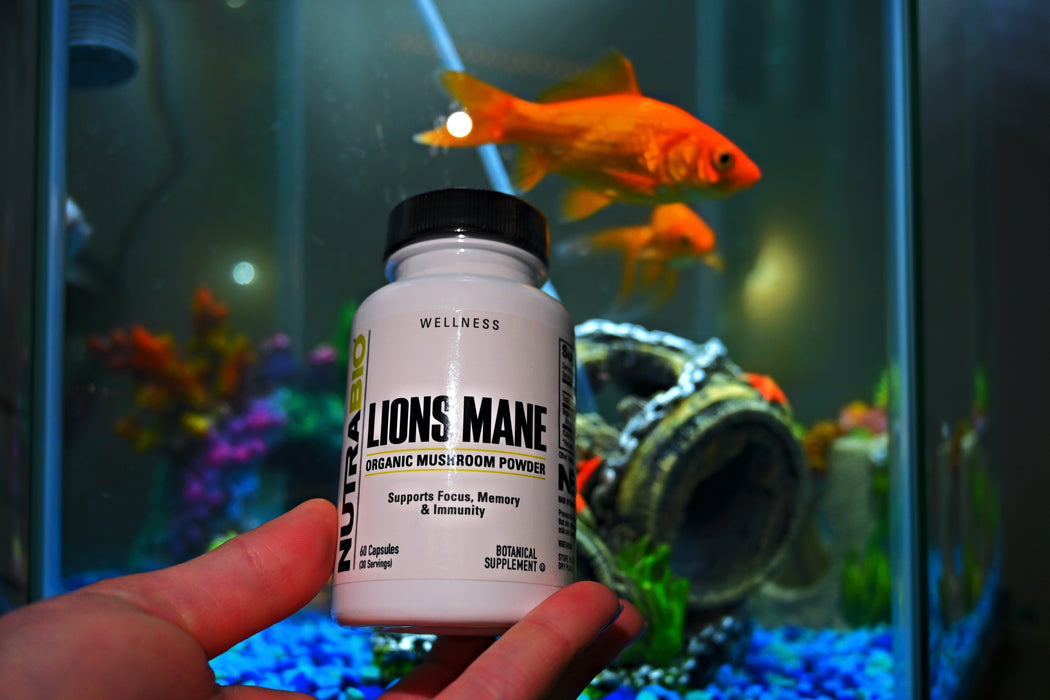 NutraBio Lions Mane Organic