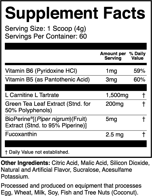 1st Phorm L-Carnitine